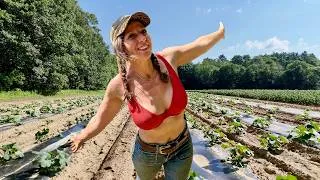 Thumbnail: Spend The Day With Me - Garden Planting,  Home Chores & A Crop Update