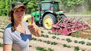 Thumbnail: We Finally Start Hilling Potatoes! 2026