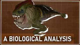 Thumbnail: A Biological Analysis of the ICHTHYOSAUR