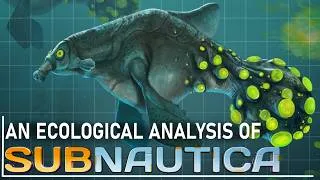 Thumbnail: An Ecological Analysis of the SAFE SHALLOWS