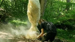 Thumbnail: Leather Tanning with Fat, Smoke & Bark