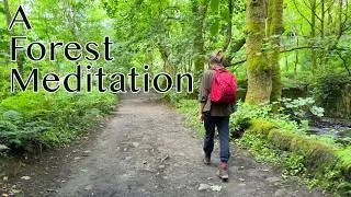 Thumbnail: A Forest Meditation - Guided Meditation For Serenity and Peace in Nature With Ambient Music