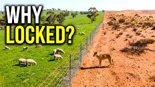 Thumbnail: Why Did Australia Build the World's Longest Fence?