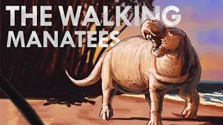 Thumbnail: The Truth of Manatee Evolution