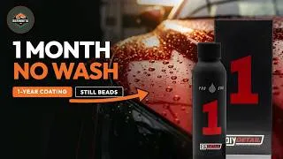 Thumbnail: DIY Detail 1 Year Coating: 1 Month Later, No Wash Test!