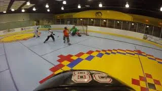 Thumbnail: Roller Hockey game