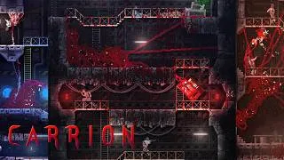 Thumbnail: Carrion