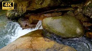Thumbnail: 🎧 Calming Stream Sounds 🌿 Relax Your Mind, Deep Sleep & Focus 💧
