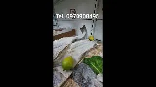 Thumbnail: BACALHAU NATAL TRANSMONTANA