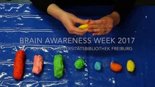 Thumbnail: "Knet' Dir ein Gehirn!" mit Janina Kirsch – Brain Awareness Week 2017
