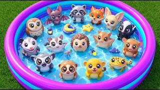 Thumbnail: Nocturnal Animals For Kids: Owl, Bat & Raccoon Adventure | Toddlers Educational Video