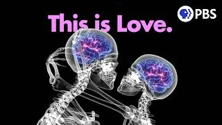 Thumbnail: Scientists Finally Figured Out What Love Is For