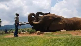 Thumbnail: Elephant Videos for Kids | Real Elephant Videos | Funny Elephant Videos | Cute Elephant Videos