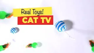 Thumbnail: CAT TV- Multi-color Ball, Feather Toys for Cats 😻 3 HOURS (FOR CATS ONLY)