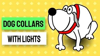 Thumbnail: dog collars with lights