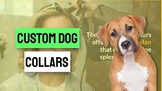 Thumbnail: custom dog collars