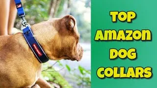 Thumbnail: top amazon dog collars