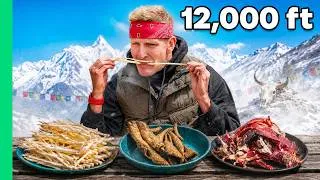 Thumbnail: Surviving Bhutan: Where the Land Tries to Kill You!!
