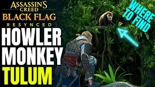 Thumbnail: Howler Monkey Tulum Location | Assassin's Creed Black Flag Resynced
