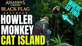 Thumbnail: Where To Find Howler Monkey On Cat Island | Assassin's Creed Black Flag Resynced