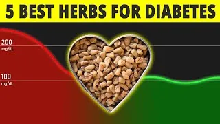 Thumbnail: Top 5 Herbs for Blood Sugar Control Most People Use the Wrong Way