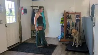 Thumbnail: Graham the Lab & Great Pyrenees Mix | Place With a Guest | Week 4 Board & Train