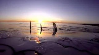 Thumbnail: SHARK INFESTED WATERS - POV _ Surfing a south swell in California SECRET SPOT - AMAZING