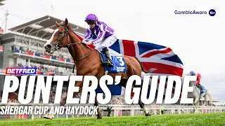 Thumbnail: Shergar Cup 2026: Where is the Value at Ascot? Plus Haydock & Newmarket Tips!