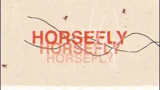 Thumbnail: Dirty Heads - Horsefly (Official Lyric Video)