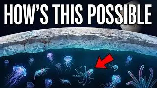 Thumbnail: Is Life Really Thriving on Jupiter's Icy Moon Europa?