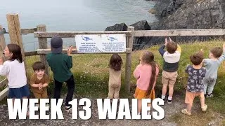 Thumbnail: SPOTTING SEALS IN WALES! (DID WE SPOT ANY?!) | WEEK 13: WALES