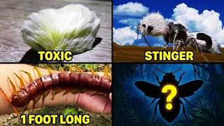 Thumbnail: These Bugs Will Give You NIGHTMARES