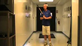 Thumbnail: Type of Bat