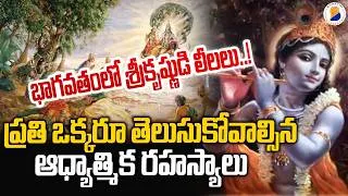 Thumbnail: భాగవతంలోశ్రీకృష్ణుడి లీలలు.! ప్రతి ఒక్కరూ తెలుసుకోవాల్సిన ఆధ్యాత్మిక రహస్యాలు | Bhagavatha Samskruti