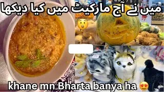 Thumbnail:  Yeh Electric Cats Kiya Cheez Hain? 🤔 | Baazar Ghoomna Aur Mazedaar Parathay # 30 