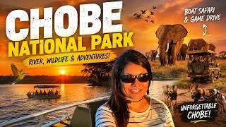 Thumbnail: Part 2 SOUTHERN AFRICA ADVENTURE - Chobe National Park Vlog | Bhavna's Kitchen & Living