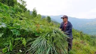 Thumbnail: bhumi in the village || life in rural Nepal ||@bhumicooking