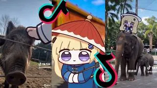Thumbnail: Ultimate Bibichubi Compilation – Cute, Funny & Chaotic 😂 #11