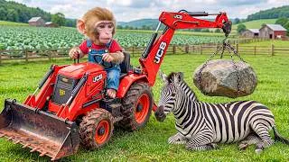 Thumbnail: 🐒🚜🦓 Monkey Nana Uses a JCB to Rescue a Zebra from a Huge Rock! 🪨