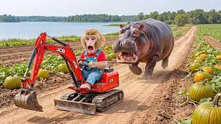 Thumbnail: Monkey Nana Uses JCB to Save Dry Pumpkin Farm, Finds Thirsty Hippo and Digs Canal to Rescue It! 😱🦛🚜💦