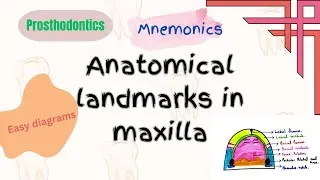 Thumbnail: Anatomical Landmarks in Maxilla| mnemonics to remember|easy to draw diagrams|Prosthodontics|dental