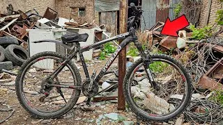 Thumbnail: Forgotten Bicycle RESTORATION That Will Blow Your Mind - Complete Process