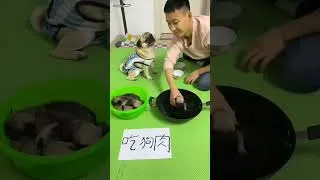Thumbnail: Funny Labrador - Gambling