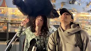Thumbnail: Lets go on a Field Trip