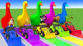 Thumbnail: 5 Giant Duck Cartoon,Cow,Elephant,Tiger,Dinosaur,Paint Wild Animals Crossing Fountain Animation #693