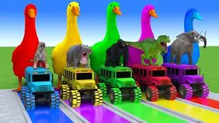Thumbnail: 5 Giant Duck Cartoon,Cow,Elephant,Tiger,Dinosaur,Paint Wild Animals Crossing Fountain Animation #670