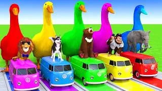 Thumbnail: 5 Giant Duck Cartoon,Cow,Elephant,Tiger,Dinosaur,Paint Wild Animals Crossing Fountain Animation #691