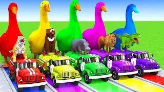 Thumbnail: 5 Giant Duck Cartoon,Cow,Elephant,Tiger,Dinosaur,Paint Wild Animals Crossing Fountain Animation #590