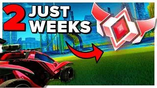 Thumbnail: I got GRAND CHAMP in just 14 days...