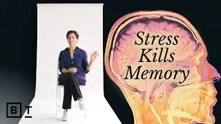 Thumbnail: A neuroscientist’s guide to protecting your brain, in 58 minutes | Lisa Genova: Full Interview